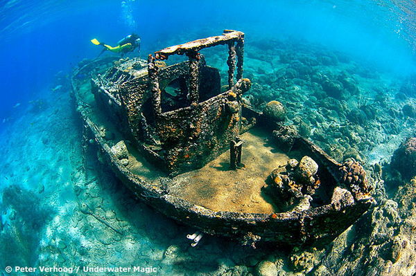 dive sites on Bonaire