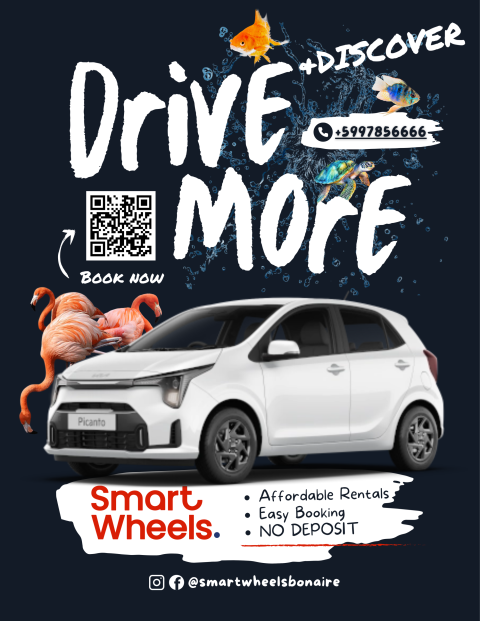 Bonaire flyer picanto blue (1) (1)